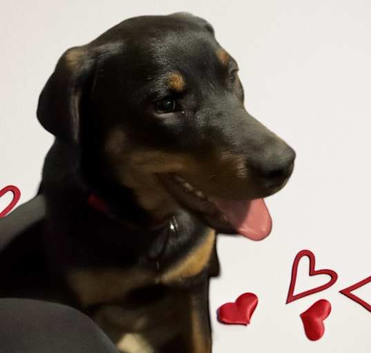 Photo of Thelma