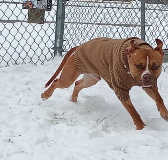 Photo of Zoom