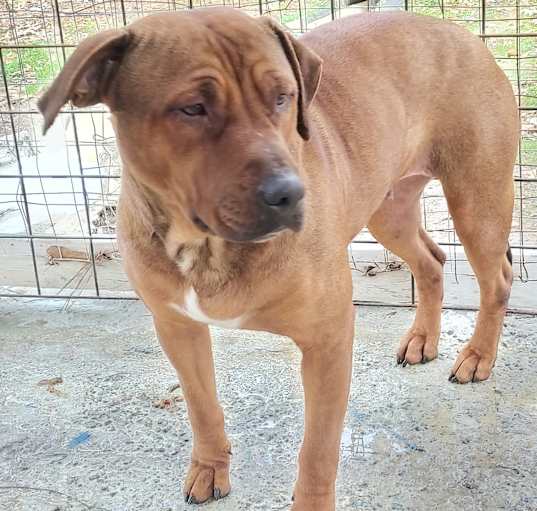 Photo of Orange Girl