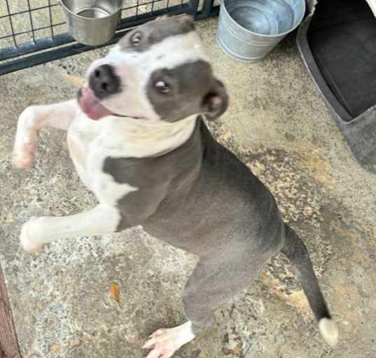 Photo of Trudy