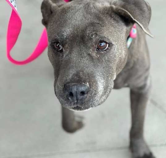 Photo of Mystic