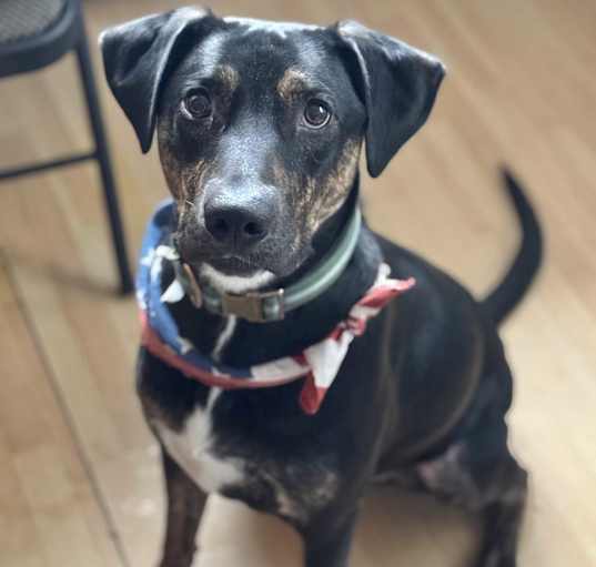 Photo of Sheldon in CT