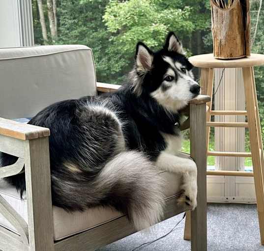 Photo of Max