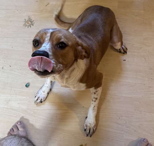 Photo of Bunty Sue