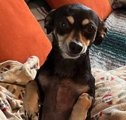 Photo of Peanut Butter