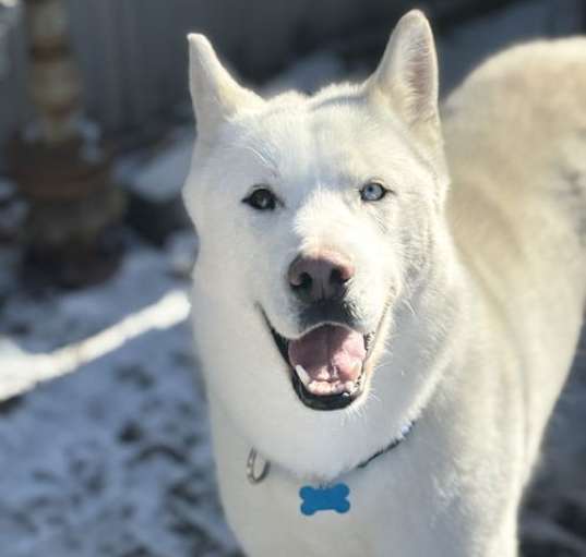 Photo of Ralphie