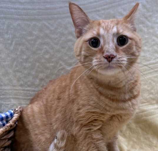 Photo of Wally