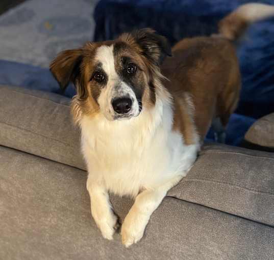 Photo of Riley