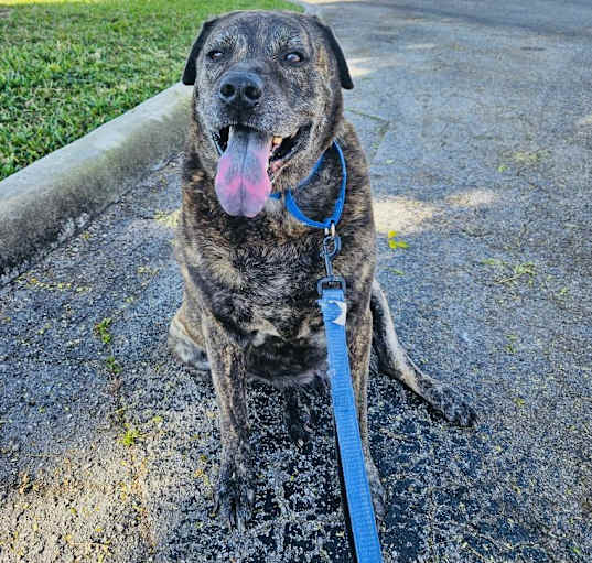 Photo of Chuck