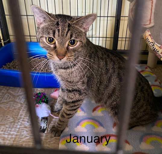 Photo of January