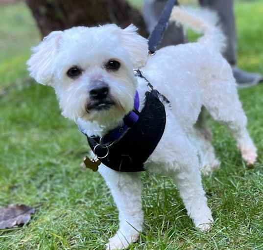 Photo of Fiyero