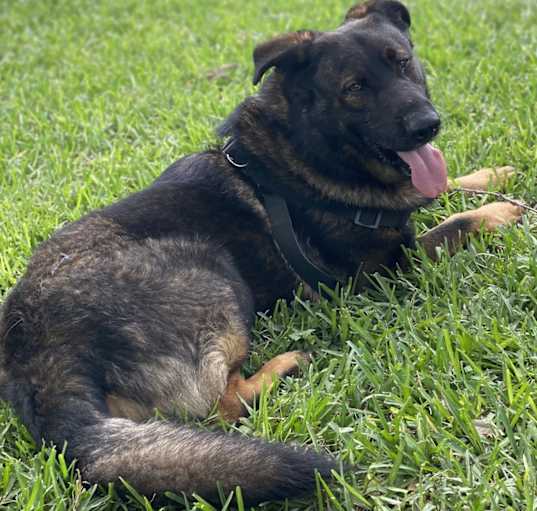 Photo of Major