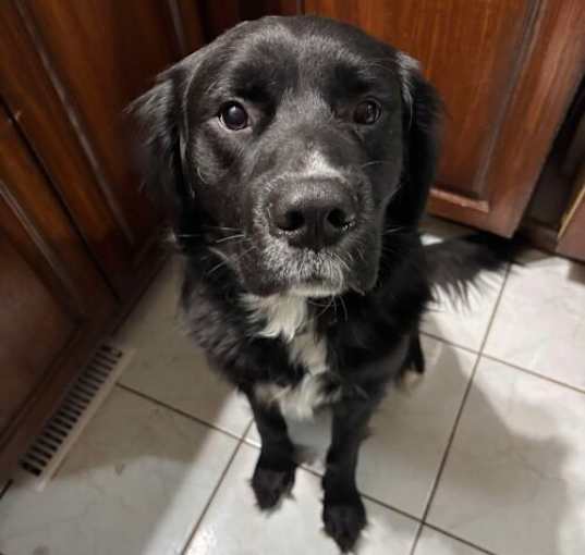 Photo of Spike