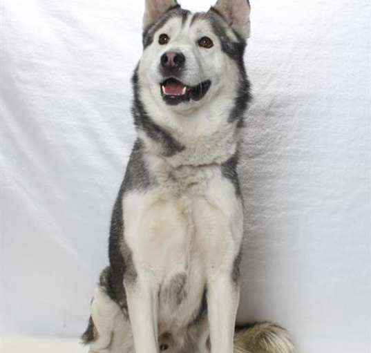 Photo of *KANOOK
