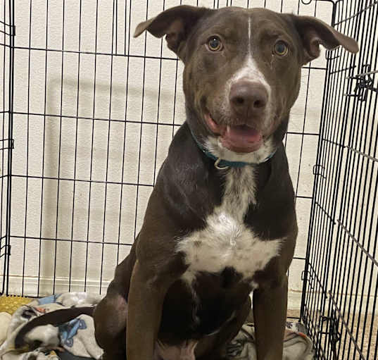 Photo of Axel