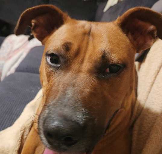 Photo of Kiva