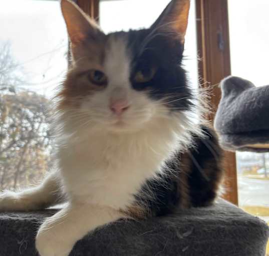Photo of LAINEY