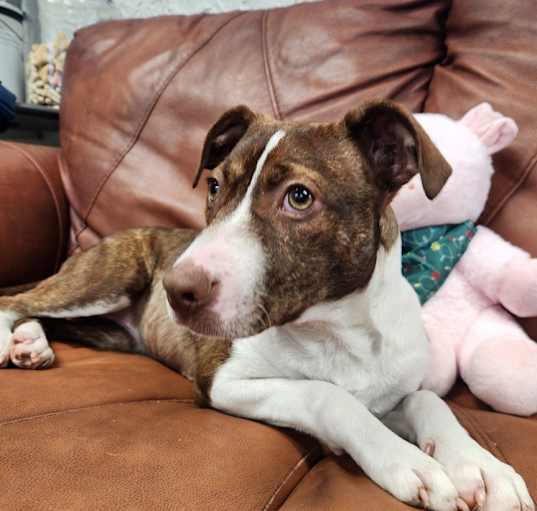 Photo of Sally - 25041