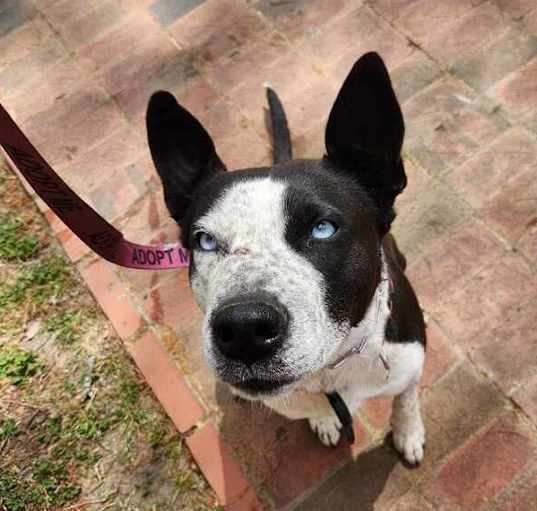 Photo of Sprinkles