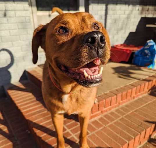 Photo of Clifford