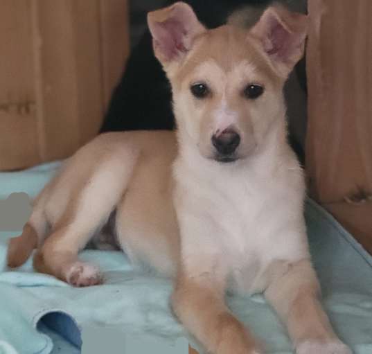 Photo of Miss T