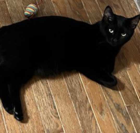 Photo of Inky