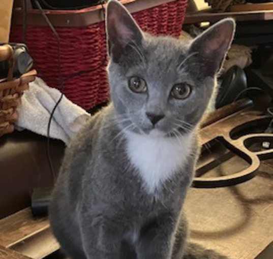 Photo of Boris