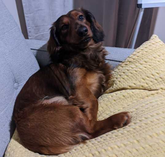 Photo of Leo