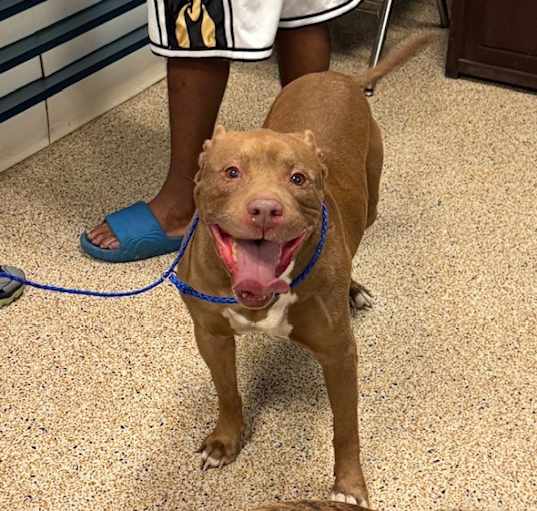 Photo of DIESEL