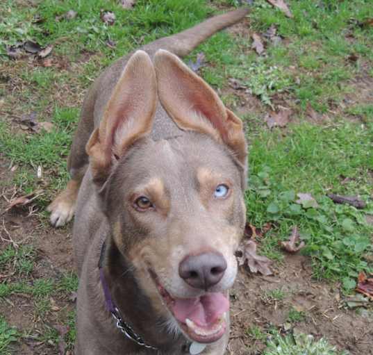 Photo of Honey