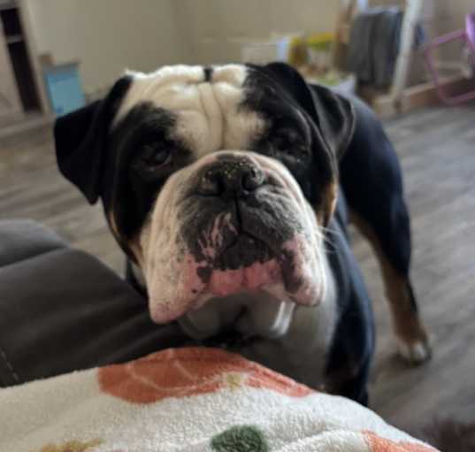 Photo of Bane