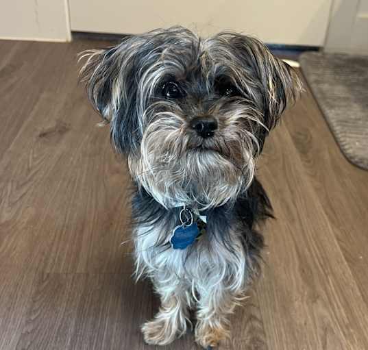 Photo of Flash