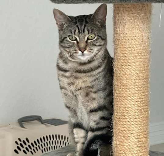 Photo of Big Daddy