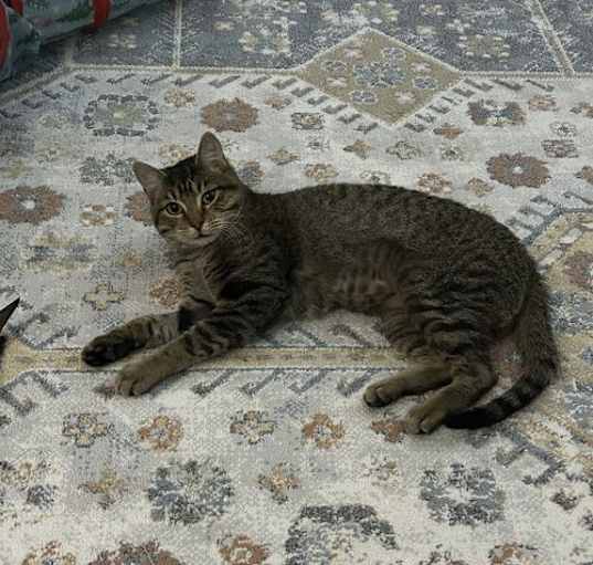 Photo of Risu