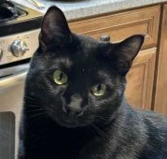 Photo of Camper