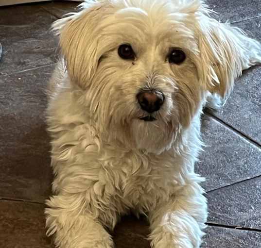 Photo of Gretta