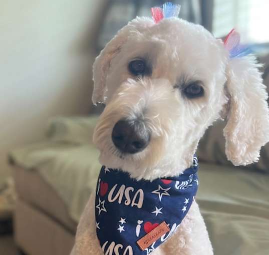 Photo of Roxie