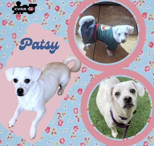 Photo of Patsy
