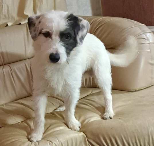 Photo of Silver