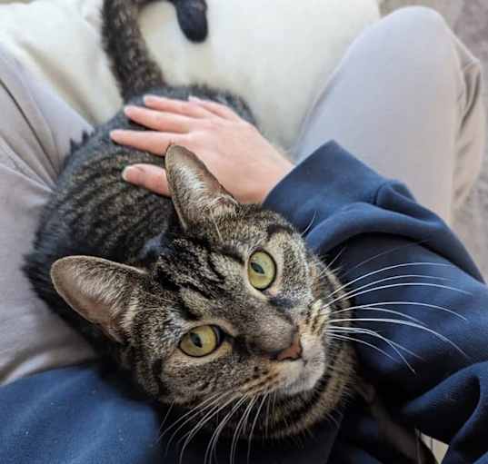 Photo of Rosie 3