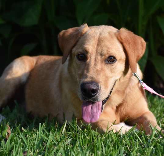 Photo of Susie
