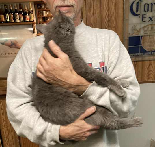 Photo of Meredith