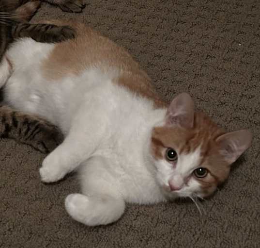 Photo of Oatmeal