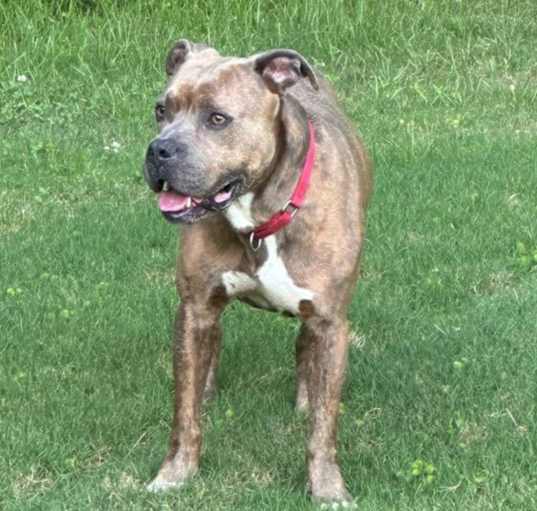 Photo of Bingo