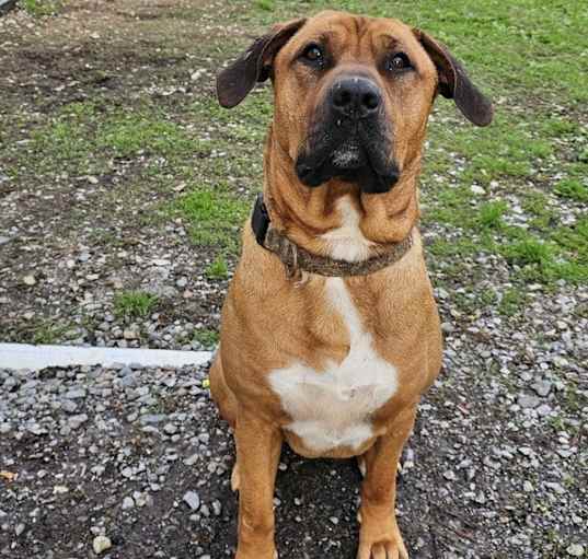 Photo of Zeus