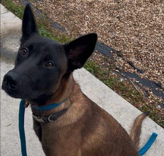 Photo of Daisy Duke - Located in Florida