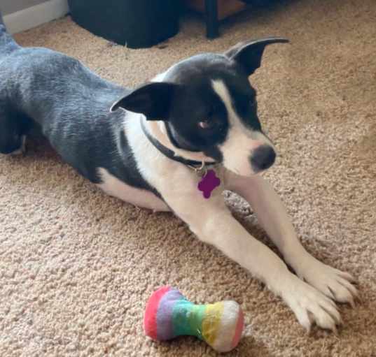 Photo of Coco