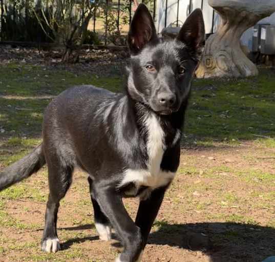 Photo of Chloe