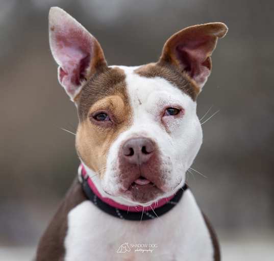 Photo of Cherry Cola Lola