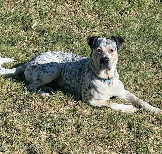 Photo of Bobby